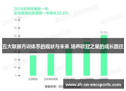 五大联赛青训体系的现状与未来 培养欧冠之星的成长路径