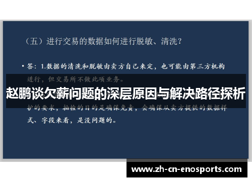 赵鹏谈欠薪问题的深层原因与解决路径探析